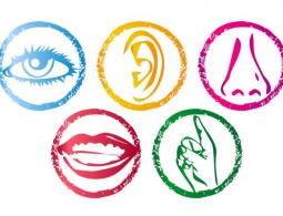 Взлом наших чувств изменит восприятие мира