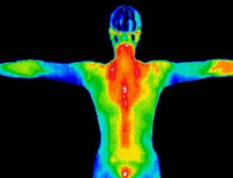 Новейший биосенсор способен обнаружить патогенные микроорганизмы за секунды