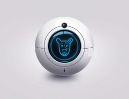 «ВКонтакте» и «Роскосмос» отправят на МКС робота Спотти