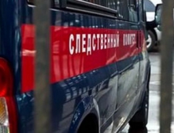 Жителя Брянска обвиняют в убийстве матери