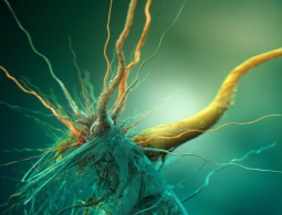 Обнаруженные в Антарктиде бактерии могут иметь внеземное происхождение