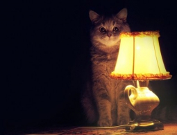 Настало время занимательных историй: 10 современных научных «страшилок»