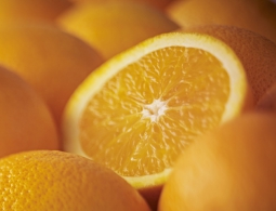 8 продуктов, которые лучше не есть, если вы пьяны
