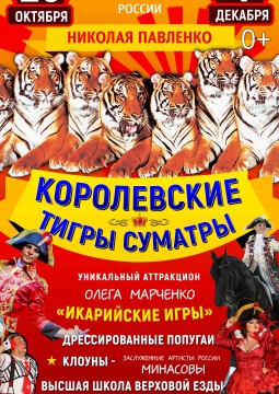 Тайна королевских тигров | Цирк