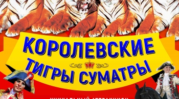 Тайна королевских тигров | Цирк