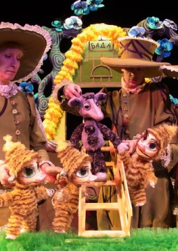 ЗОКИ и БАДА