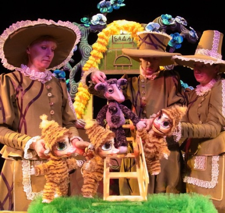 ЗОКИ и БАДА