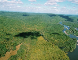 В ДФО подано свыше 8,5 тысячи заявок на "дальневосточный гектар"