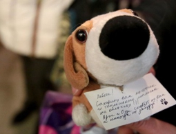 В Хабаровске прошел пикет против подозреваемых в живодерстве