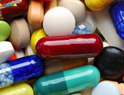 Учёные открыли «центр Плацебо» в мозге человека