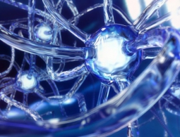 В MIT придумали, как сделать работу нейронных сетей более прозрачной