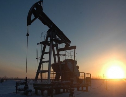 Сибирские ученые нашли способ увеличения нефтедобычи