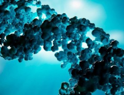 Генные воры: «чужая ДНК» позволяет обмануть эволюцию за счет кражи генов