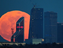 В ноябре над Землей взойдет рекордно гигантская "супер-Луна"