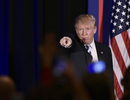 Трамп открыл "горячую линию" для сообщений о нарушениях на выборах в США