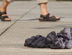 Фекалии — топливо будущего?