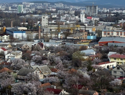 В Симферополе появится первая доска позора для чиновников