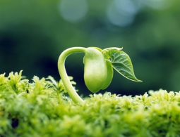 Тайна появления жизни на Земле. Часть третья: в поисках первого репликатора