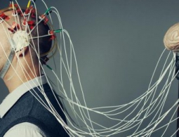 Мы неправильно оцениваем человеческий мозг