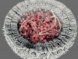 Тайна появления жизни на Земле. Часть шестая: великое объединение
