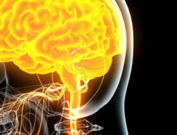 Плюсы и минусы устройств, управляемых силой мысли