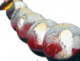 Под ледяным «сердцем» Плутона, скорее всего, огромный океан