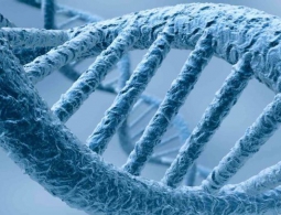 Можно ли перевести часы старения?