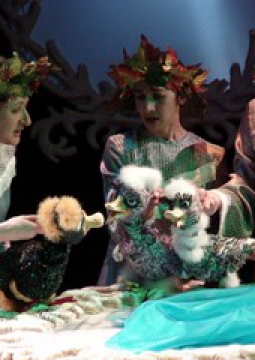 СЕРАЯ ШЕЙКА