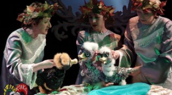 СЕРАЯ ШЕЙКА