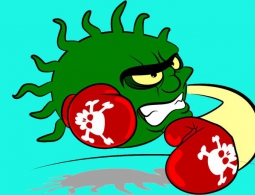 Выведены бактерии для охоты на устойчивые к антибиотикам микроорганизмы