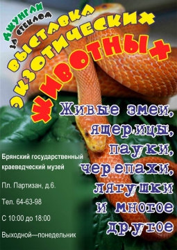 ДЖУНГЛИ ЗА СТЕКЛОМ