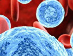 Восемь фактов о ВИЧ