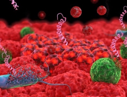 Как ученые готовятся к миру без антибиотиков?