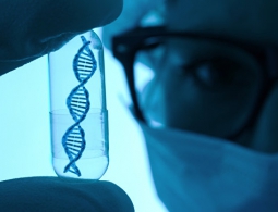 Биологи открыли бактерий, превращающих животных в "секс-бомбы"