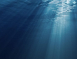 В Индийском океане обнаружена «мертвая зона» площадью 60 000 квадратных километров