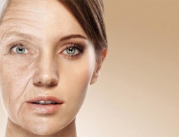 Российские учёные написали софт для поиска лекарства против старения