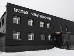 Кефирный гриб за тремя замками и другие секреты братьев Чебурашкиных