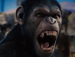 Как звучала бы речь обезьян, если бы они могли говорить