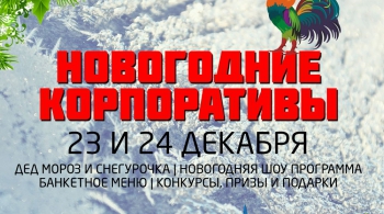 НОВОГОДНИЕ КОРПОРАТИВЫ 2016