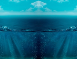 Обнаружен источник таинственного сигнала, исходящего из Марианской впадины