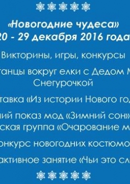 НОВОГОДНИЕ ЧУДЕСА