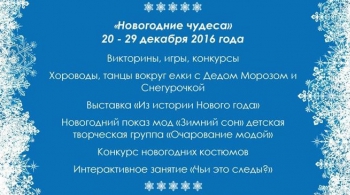 НОВОГОДНИЕ ЧУДЕСА