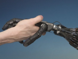 «Оптические нервы» дадут роботам чувство осязания