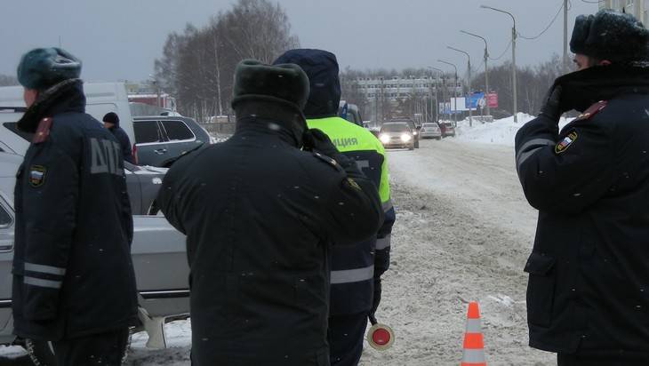 Азартные брянские автоинспекторы расставили новогодние сети