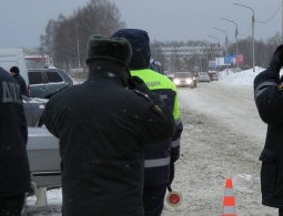 Азартные брянские автоинспекторы расставили новогодние сети
