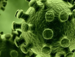 Существует больше 100 определений жизни, и все они ошибочны