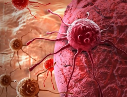 Разработан тест, способный предсказать вероятность успешности лечения рака