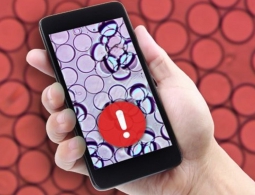 В MIT разработали простой тест для определения качества продуктов