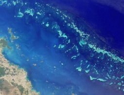 Большой барьерный коралловый риф подвергся обесцвечиванию