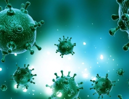 Полезные вирусы на службе медицины